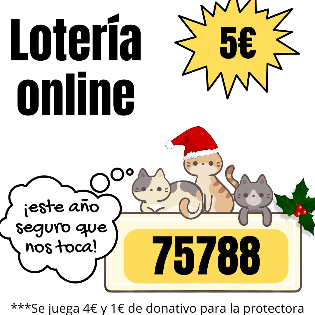Lotería de navidad 2023 - Número 75788